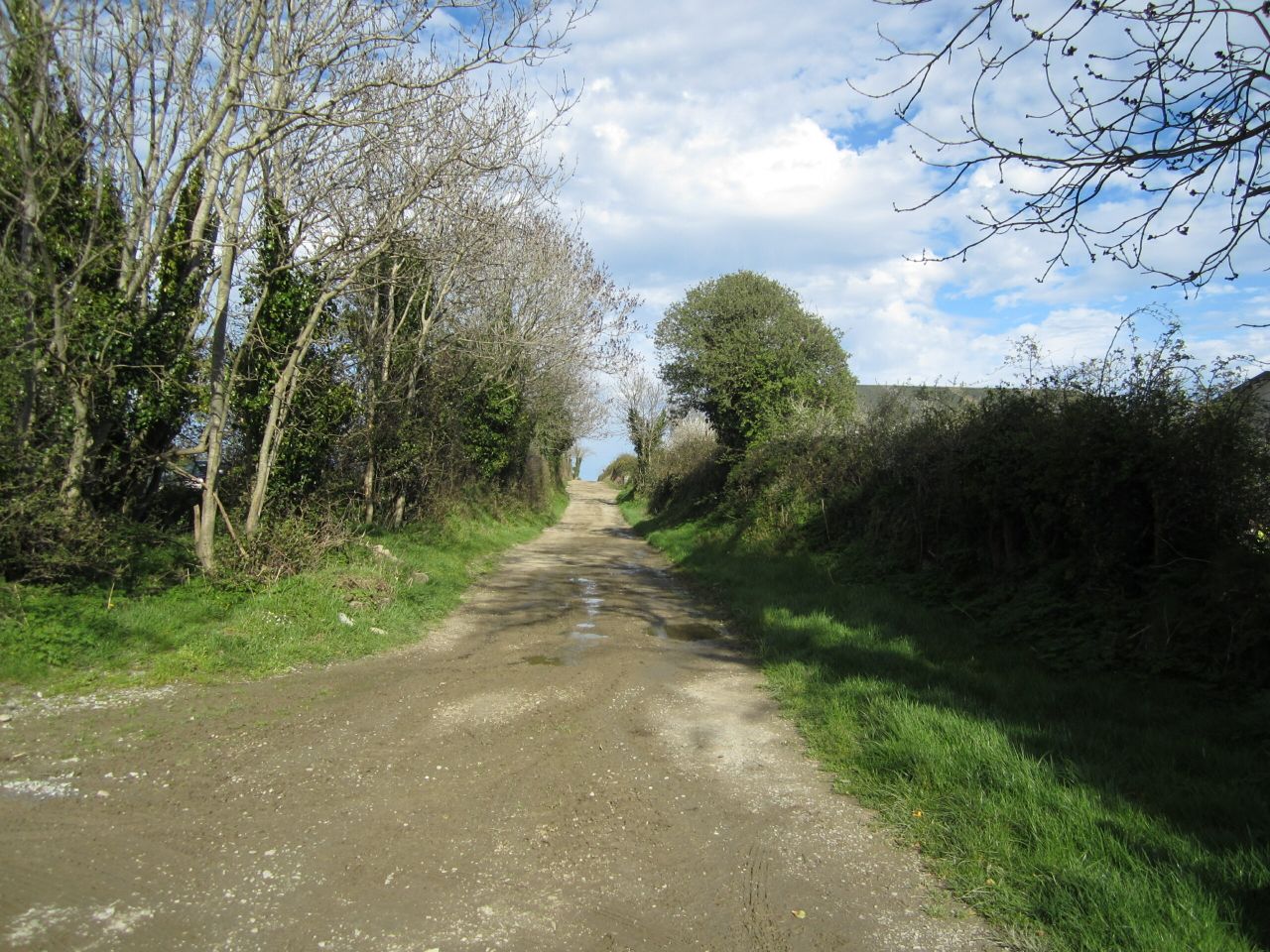 Rural roads and lanes allocated further €16 million