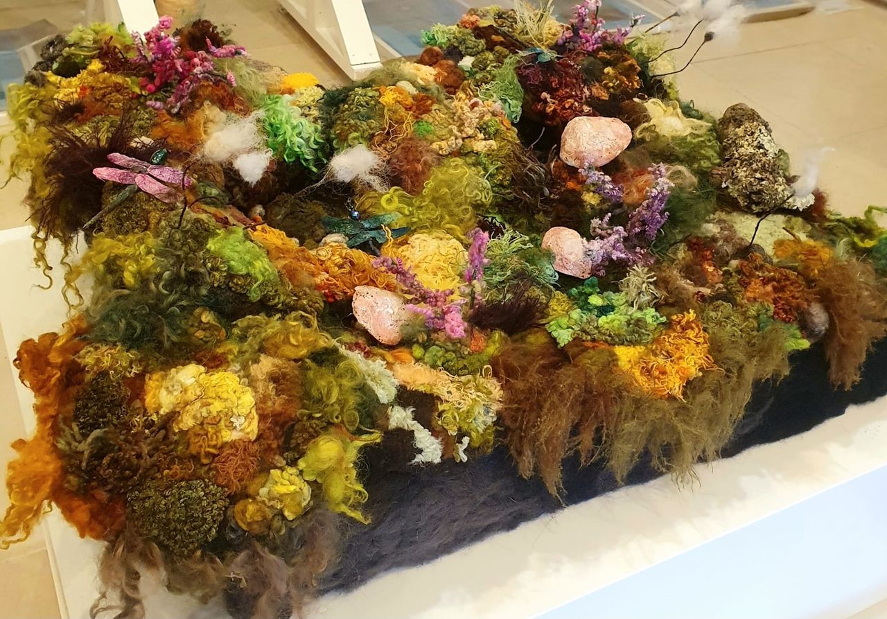 Irish Grown Wool Council 'bringing the bog' to Bloom