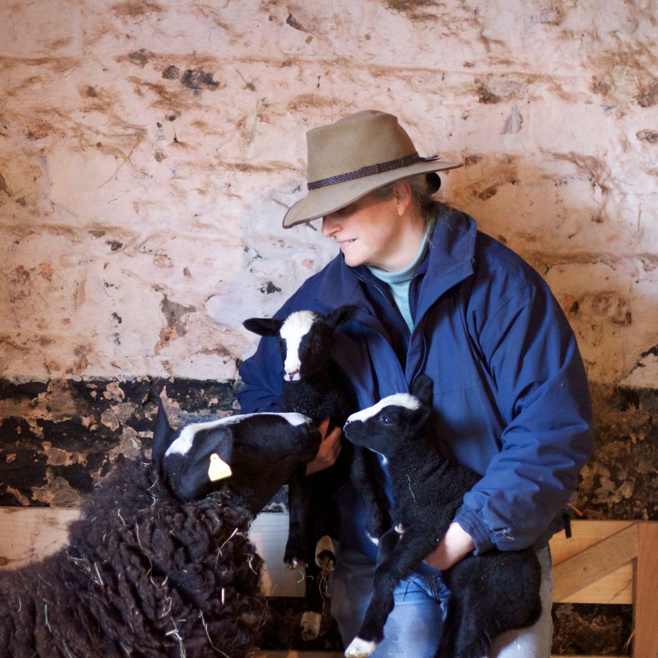 Irish farmers take to Twitter