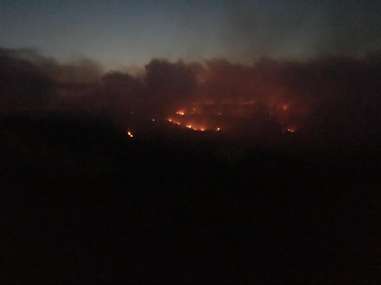 Video: Extensive forest fire rips through midlands mountains