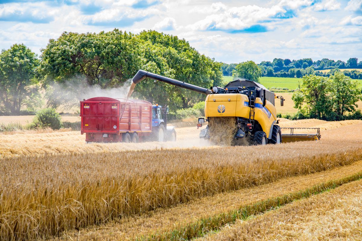 Video: Winter barley harvest wraps up in north Co. Dublin