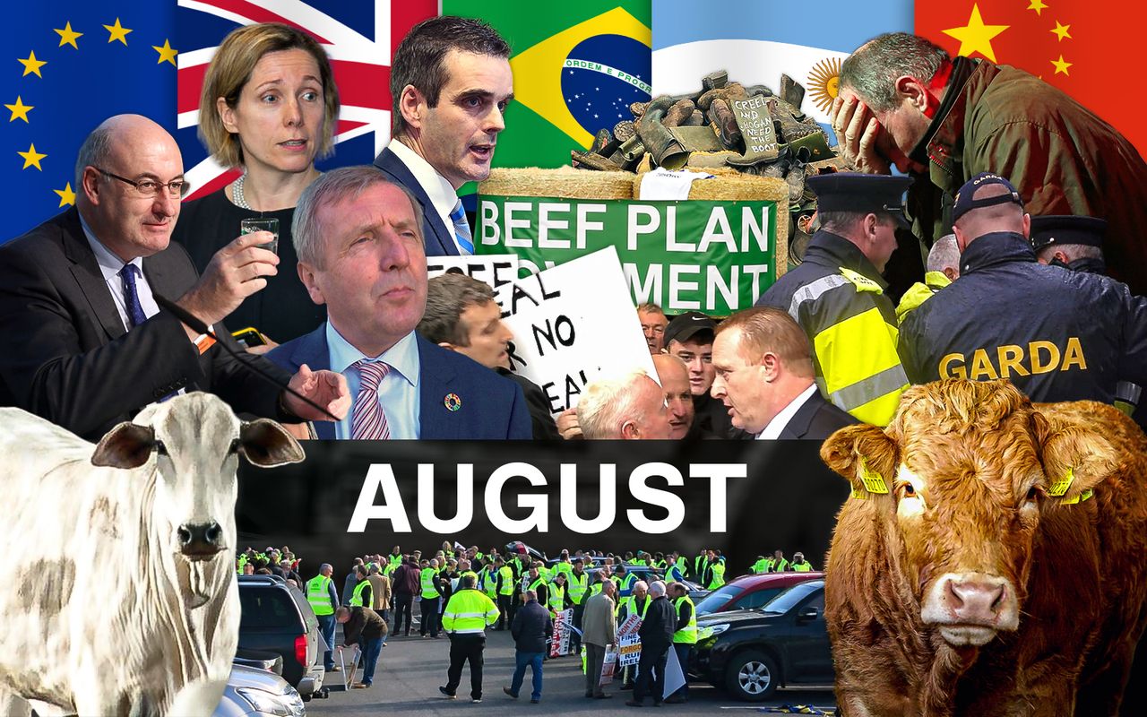 Beef Industry Review: August