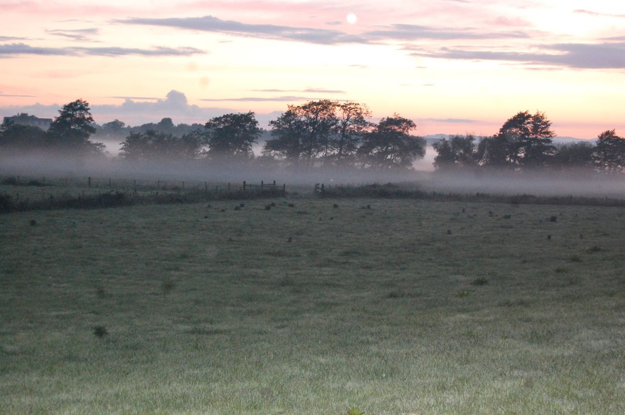 Yellow fog warning in place for parts of south and east