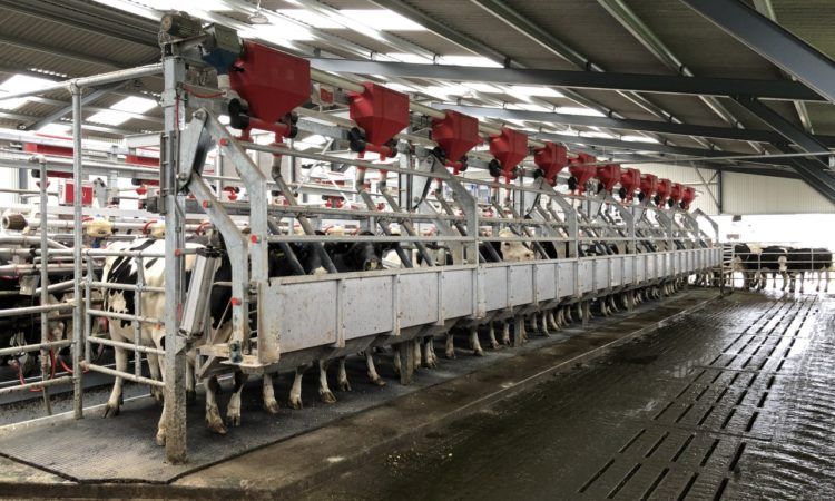 Back In Focus: 24-unit rapid-exit parlour in action in Co. Wicklow