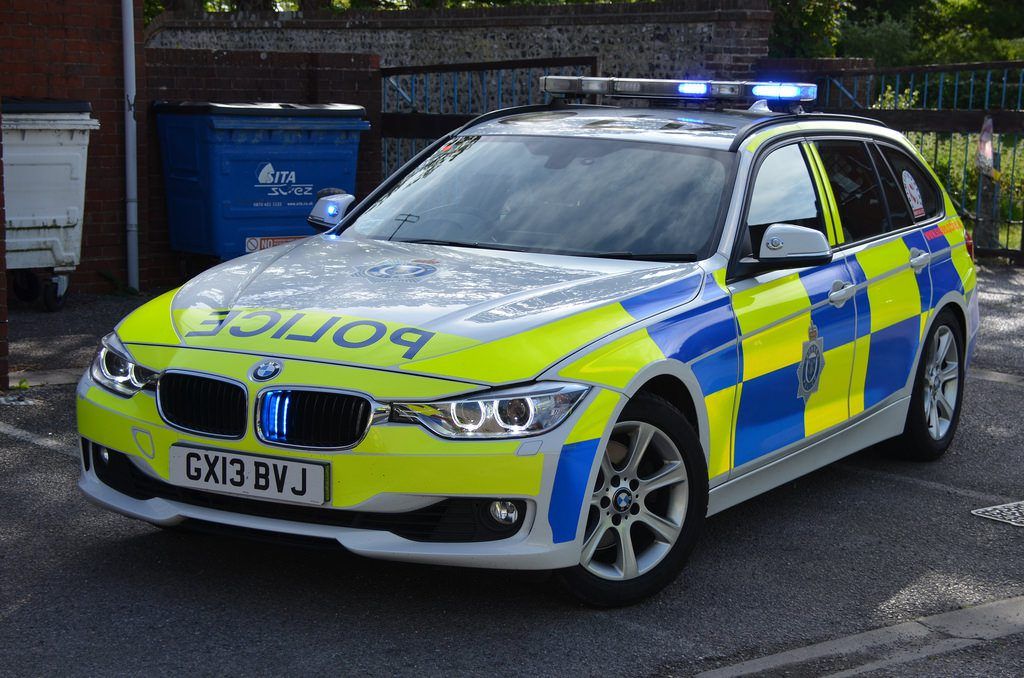 Investigation launched after cattle stolen from Armagh farm