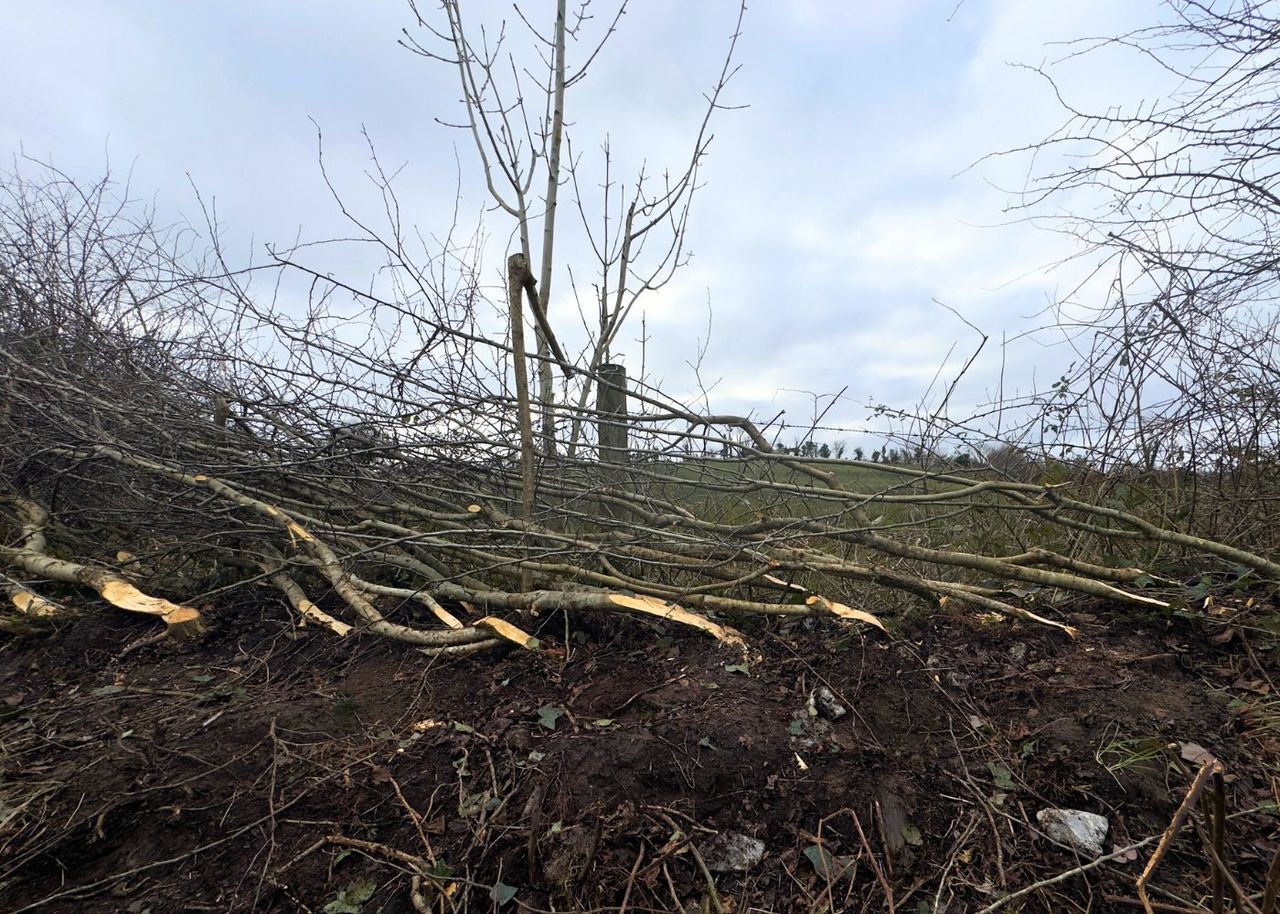 ACRES farmers attend hedgerow management workshop