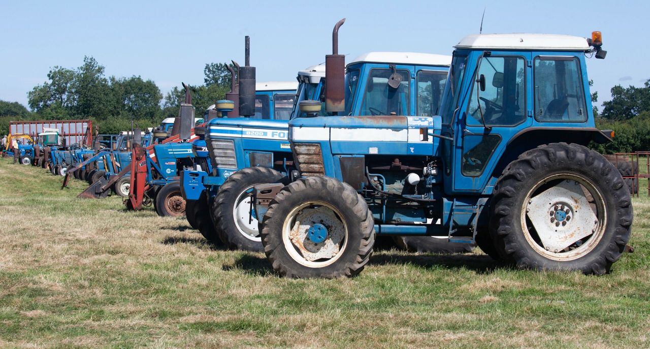 Auction report: Enough Fords to fill a field; check out these prices