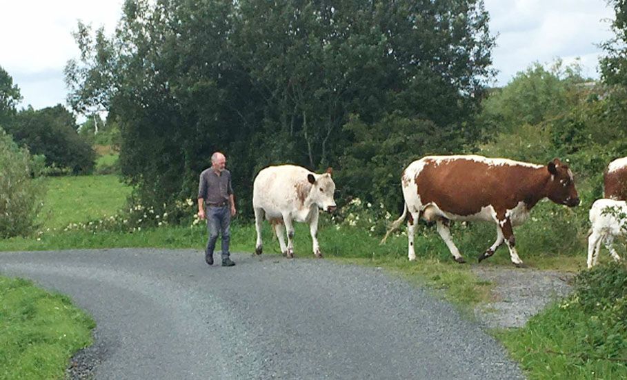 Roscommon-based sculptor turns his hand to cheesemaking
