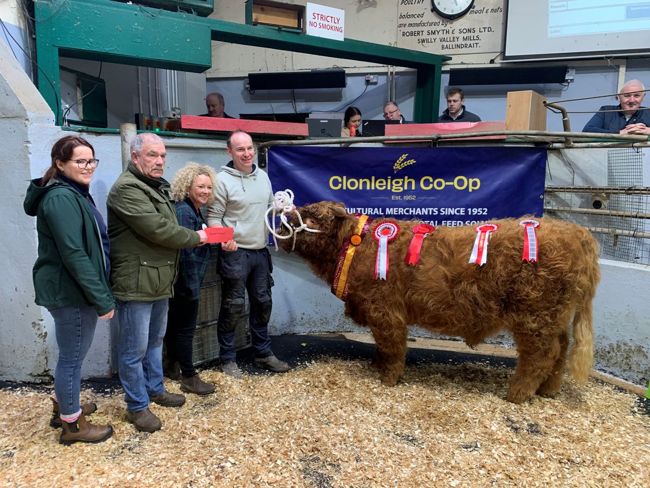 Report: Stranorlar rare breed cattle show and sale