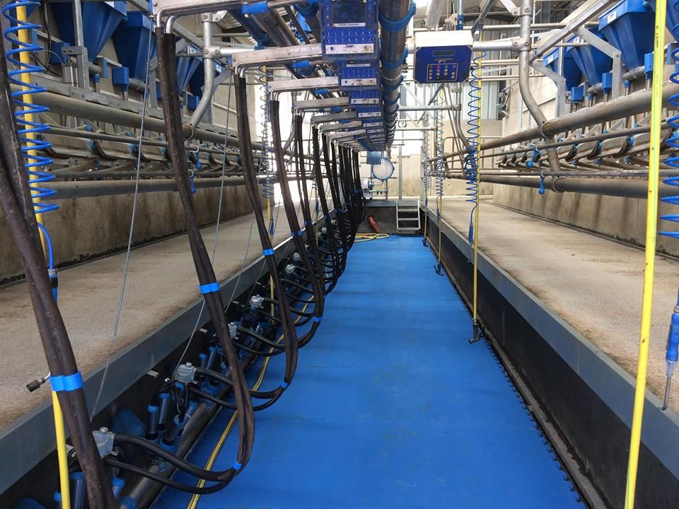 Annual average price for liquid milk supplies falls 5% in 2018