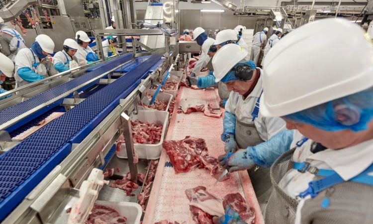 Cranswick Country Foods: Company growth is 'ahead of previous expectations'