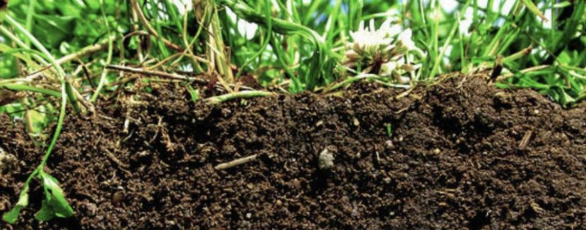 Our soils are depleting faster than they can be regenerated