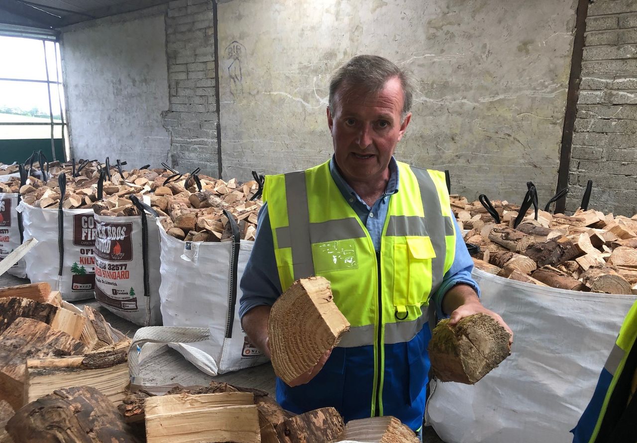 'Forestry schemes are not working; mistakes were made...'
