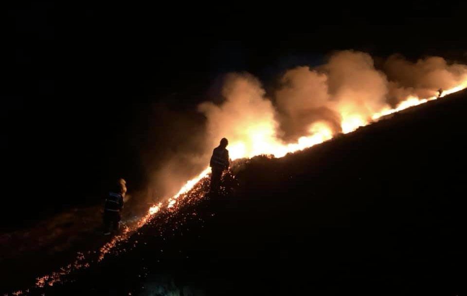 Emergency services attend gorse fire on Mount Leinster