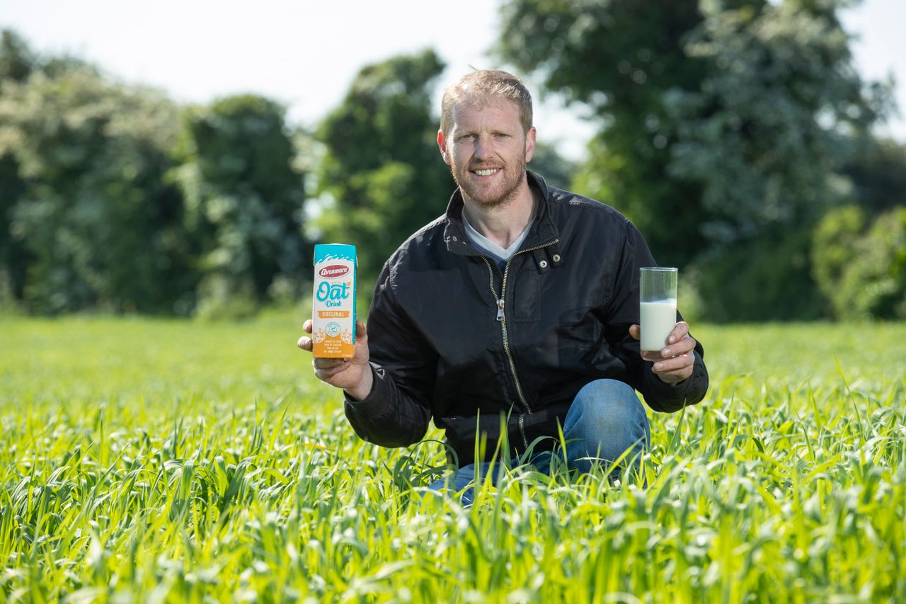 Avonmore entering plant-based market with oat drink
