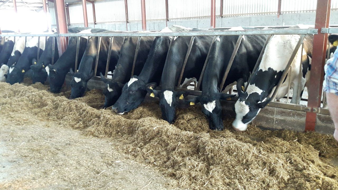 Top agri speakers to address farmer info evening tonight