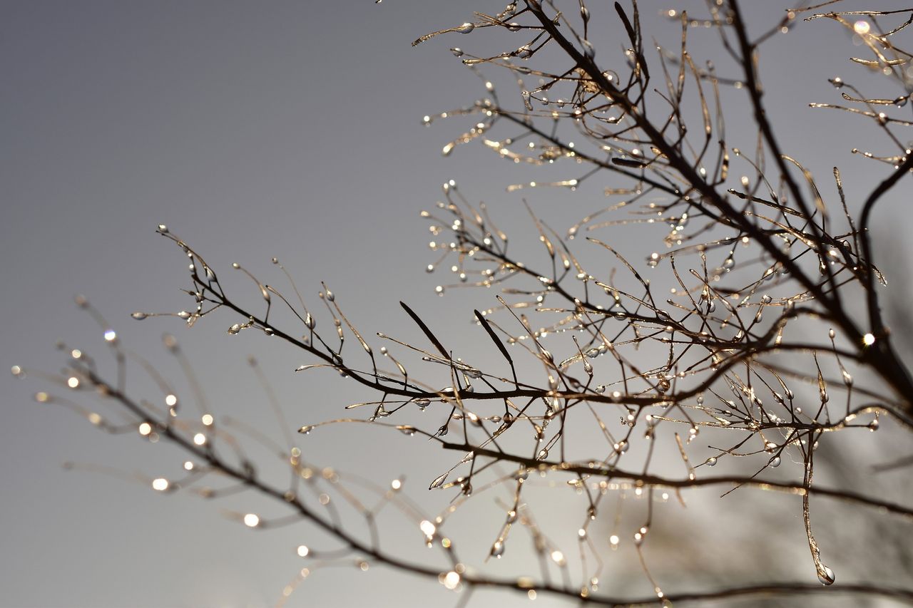 Weekend weather forecast: Cold with wintry showers