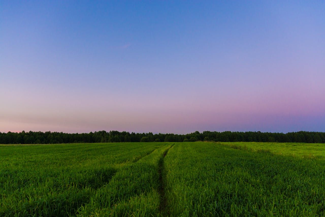 CSO: More spent on land in mid-west in 2022 than anywhere else