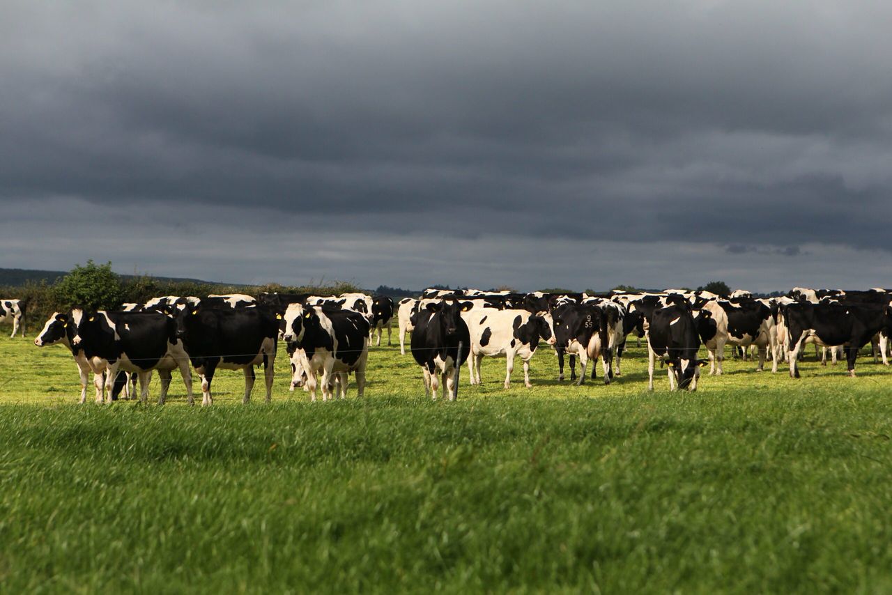 Northern food sector continues to grow, but farmers are losing out says UFU