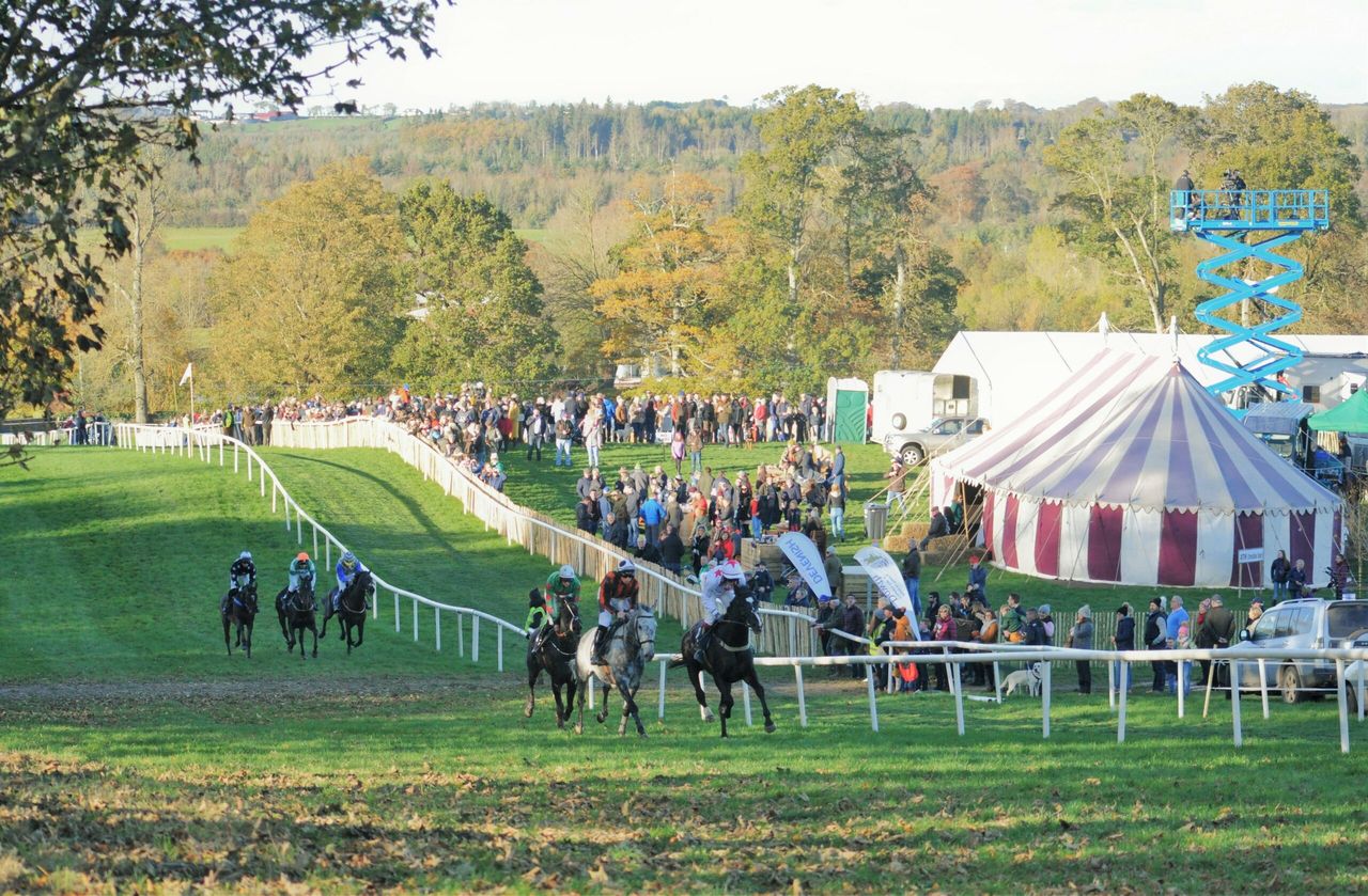 Record turnout for Dowth Point to Point and Country Fair