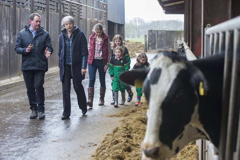 Pics: Theresa May lands on Co. Down dairy farm for Brexit tour