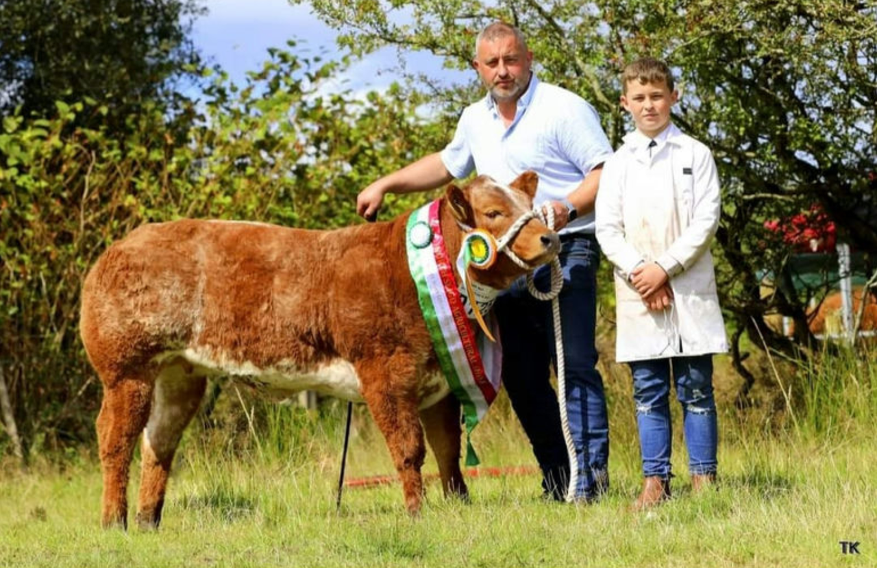 Weanling heifer sells for €13,600 in McNamee sale