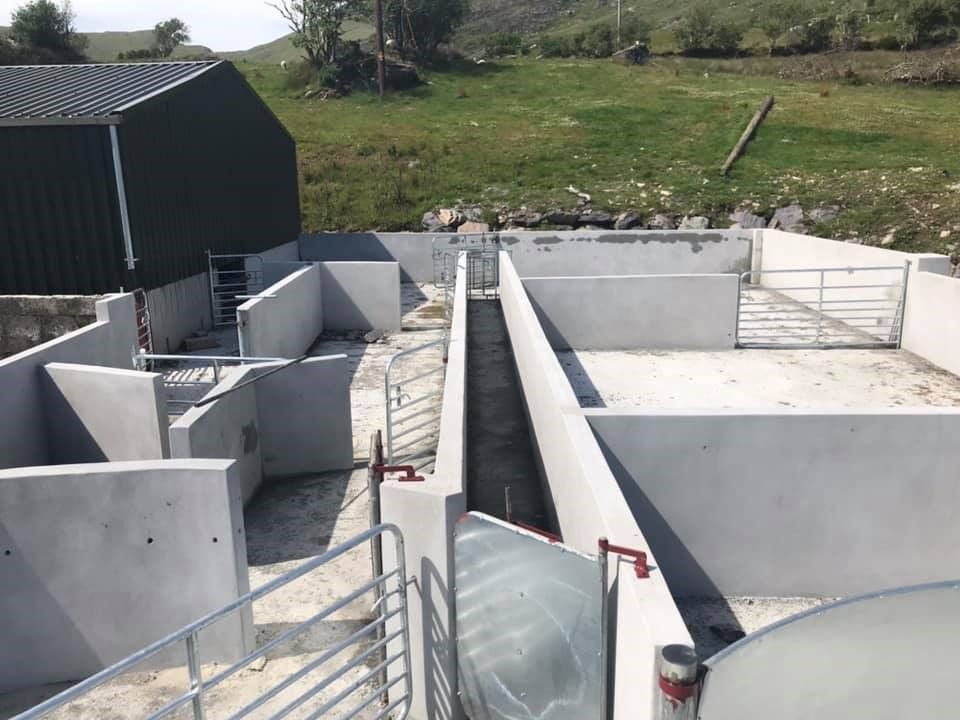 Infrastructure Focus: A brand new handling unit for a 750-ewe flock in Co. Kerry