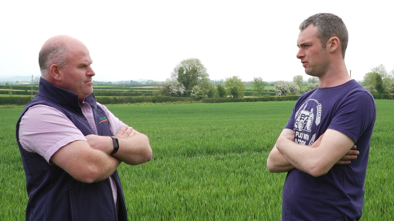 CROPS WATCH: Reducing fungicides, housing bees and keeping plants healthy