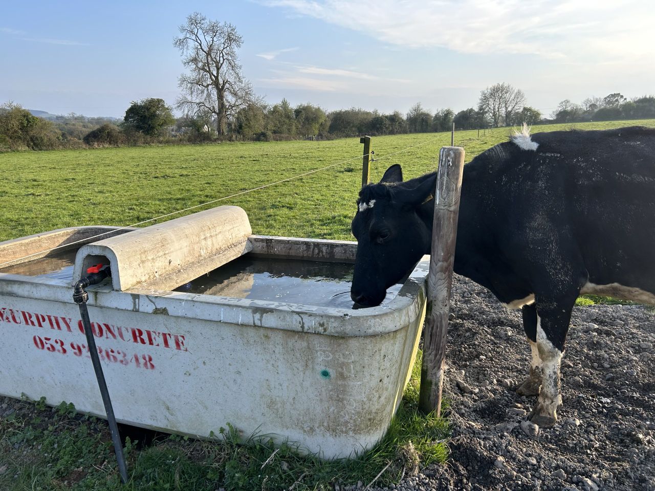 Are your troughs sufficient for the warm weather?