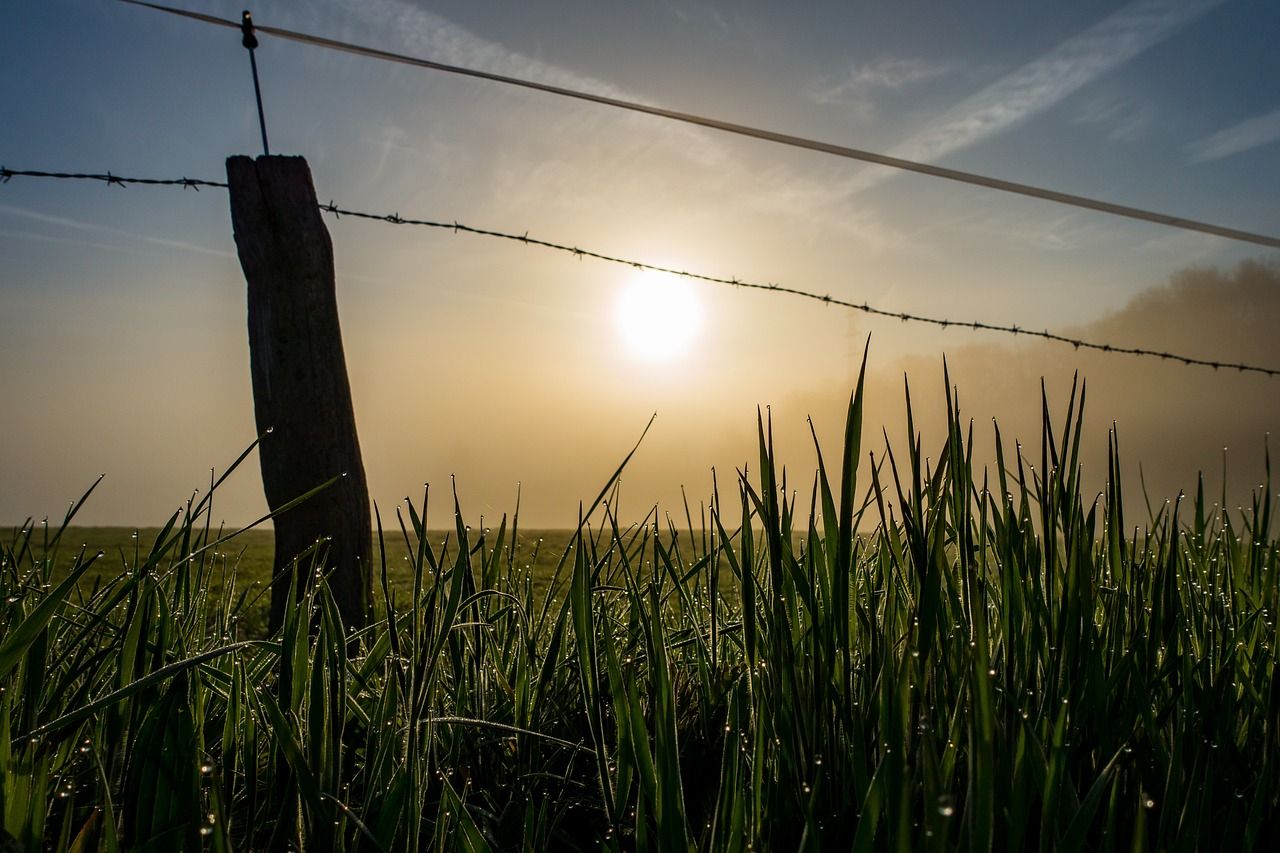 Carlow CoCo launches farmer wellbeing programme