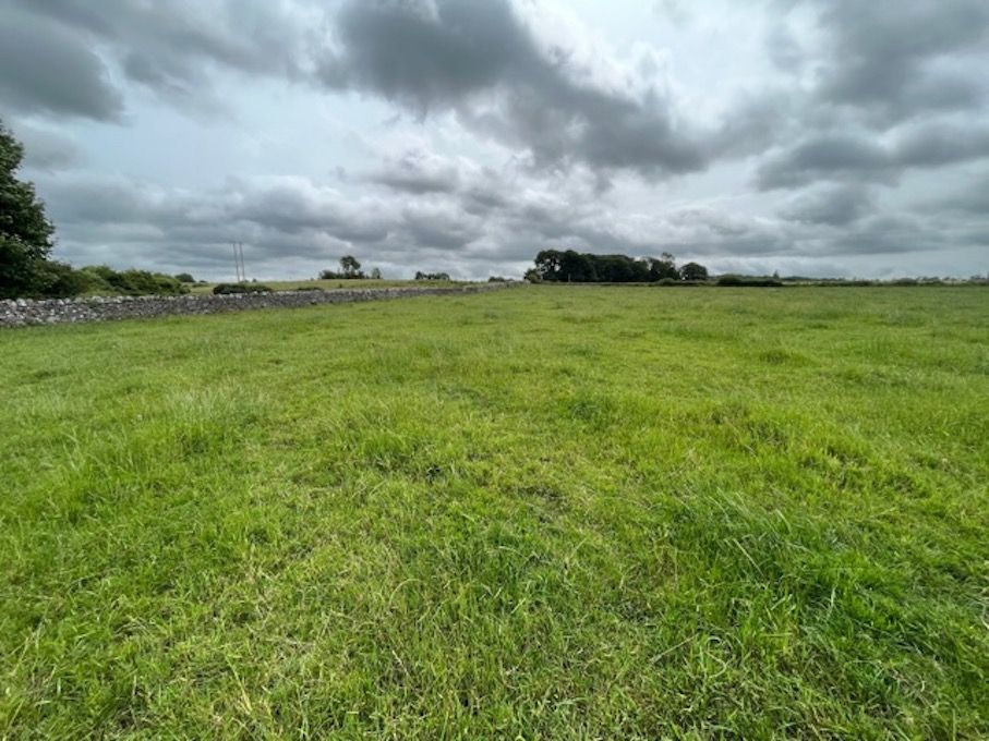 'Highest quality Golden Vale land' guiding at €18k/ac