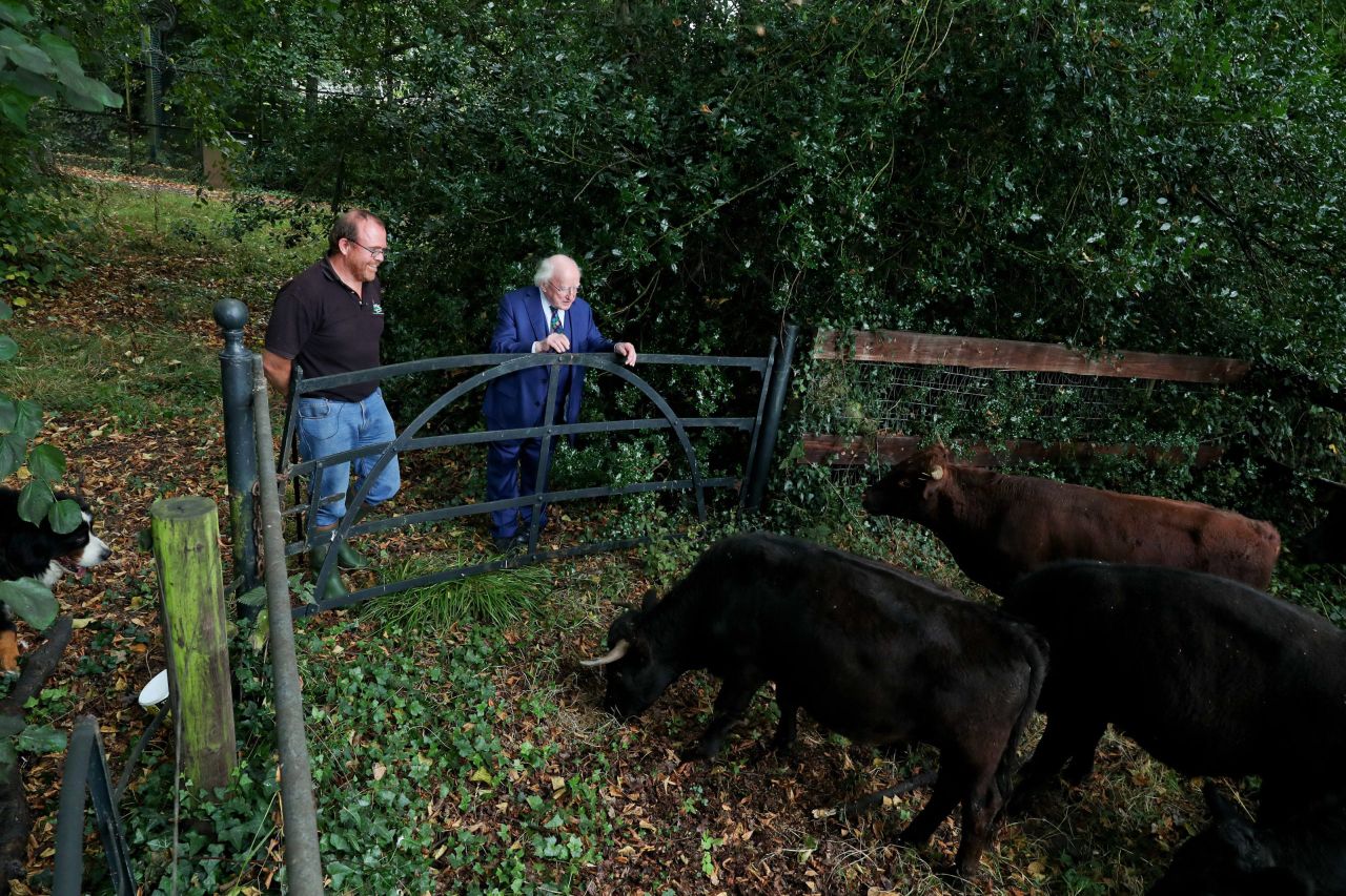 Dexter cattle to graze Áras grounds as part of biodiversity programme