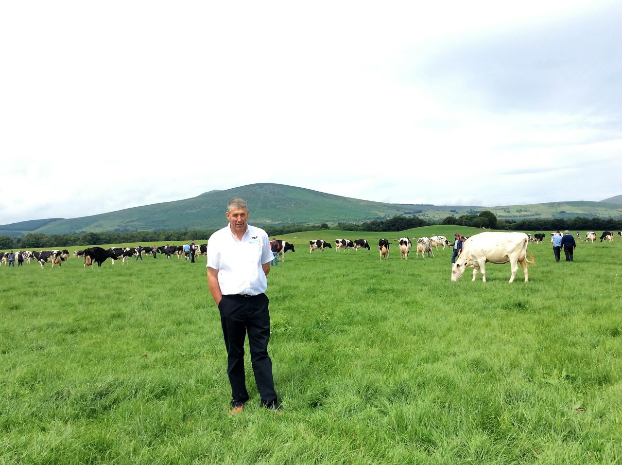 North American genetics take centre stage in Wicklow