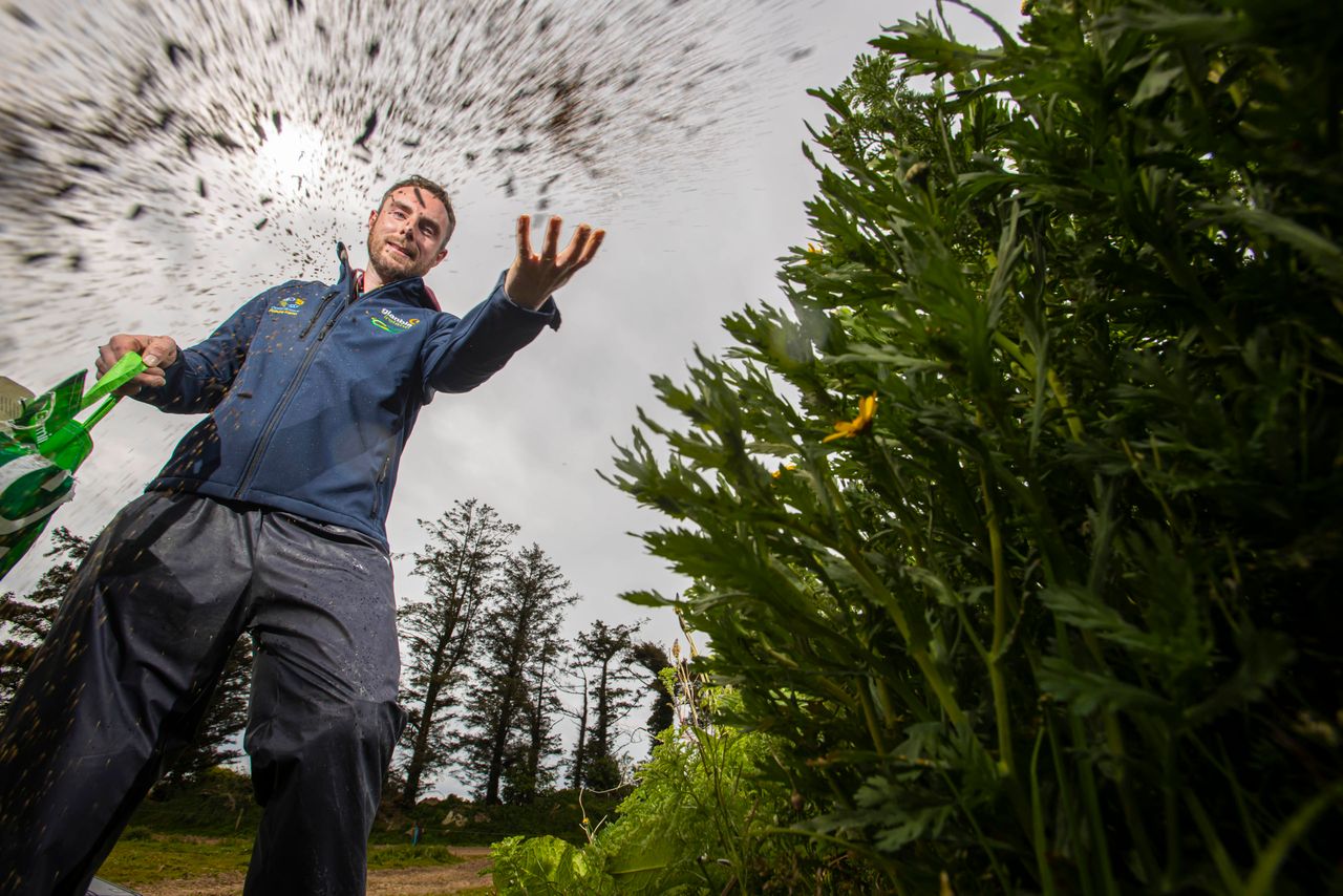 Glanbia biodiversity initiative a hive of activity