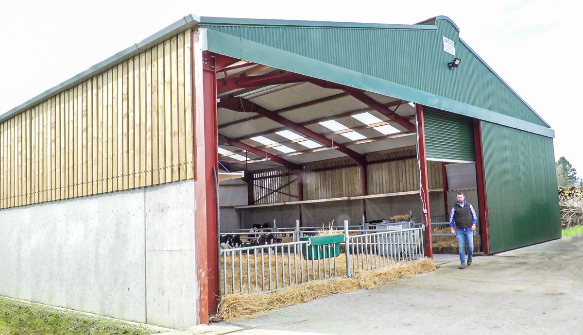 Diary date: On-farm dairy calf-to-beef masterclass planned for Co. Kilkenny