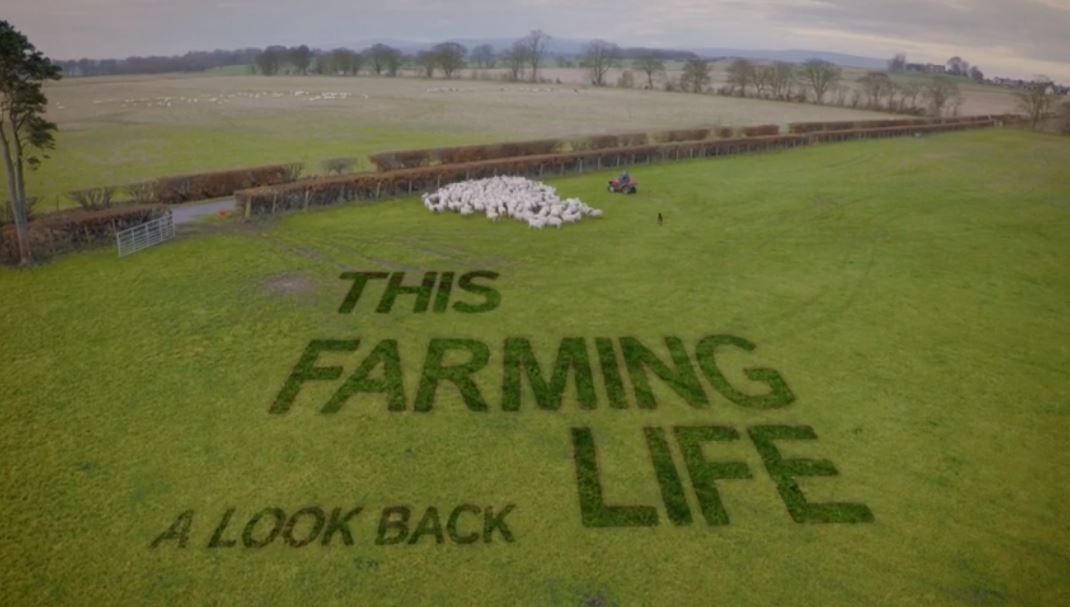 This Farming Life's Bobby Lennox to lead bill at sheep producer event