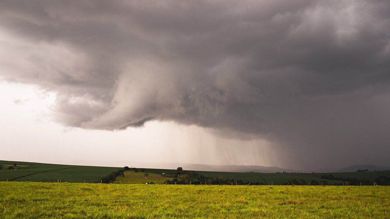 'Incessant rainfall' causing 'serious issues' for beef farmers
