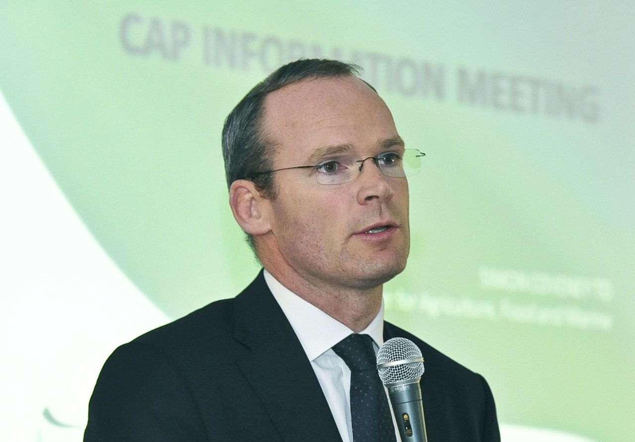Coveney: 'There are new risks now with the British market'