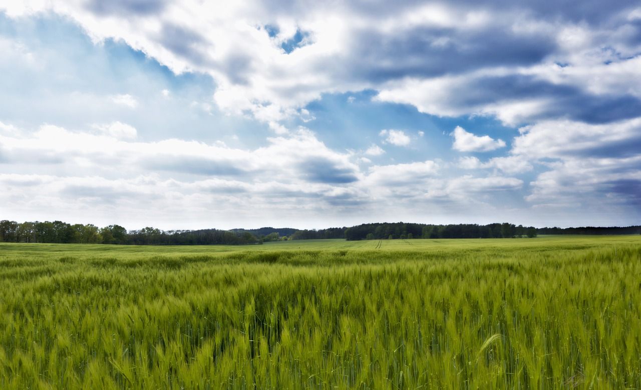 Climate Plan 2025: 'Actions' for land use include ACRES, manure and drained soils