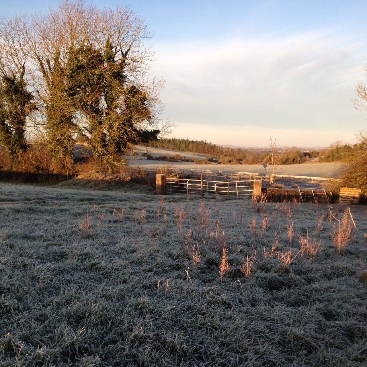 Weather: Cold spell to continue with mixed conditions