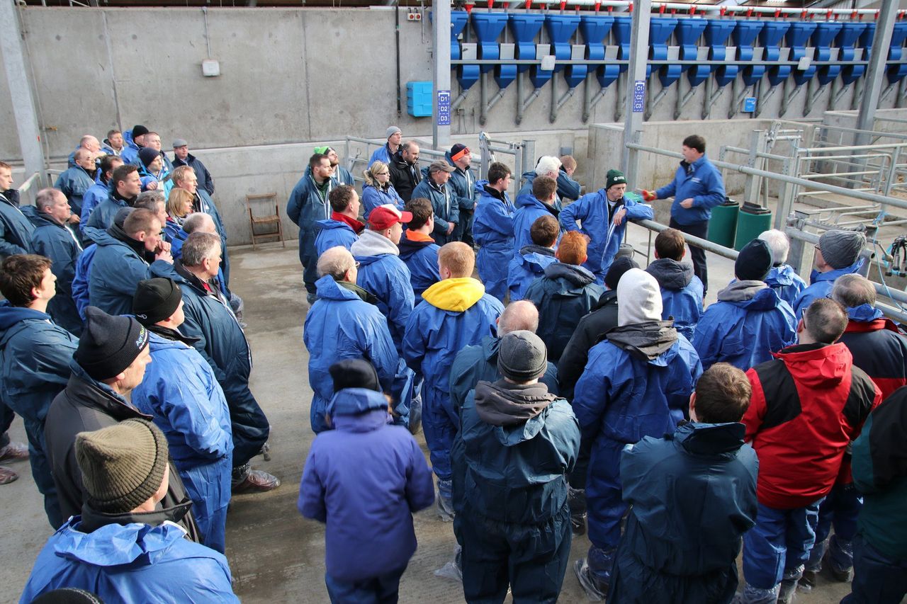 One in three Northern Ireland dairymen turn out to Dairy Open Days