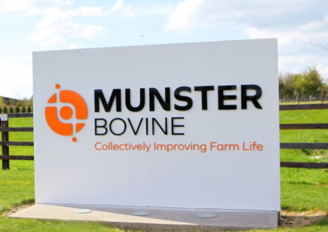 Munster Bovine appoints interim chief executive to permanent post