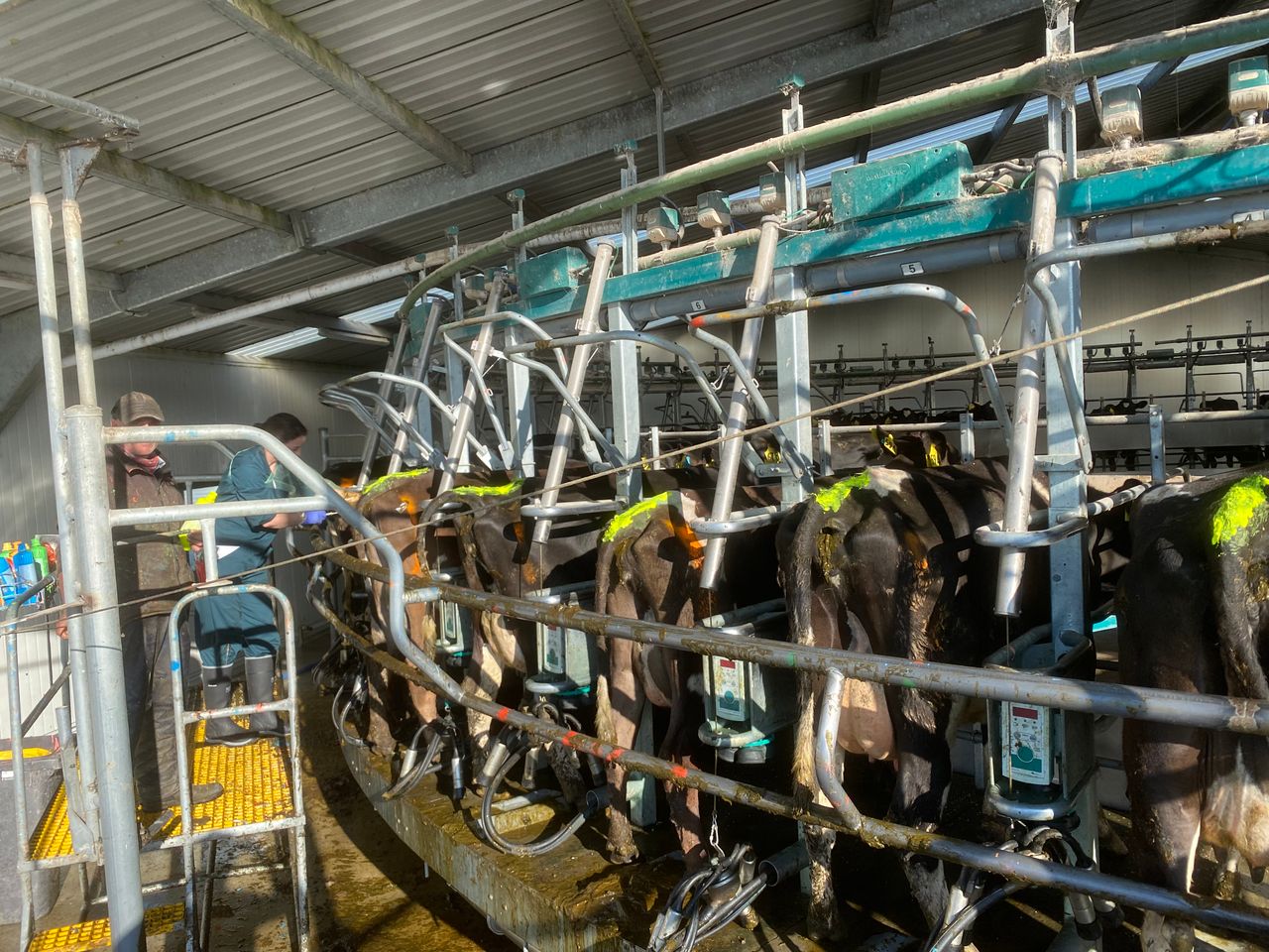 Is a synchronisation programme worth the cost?