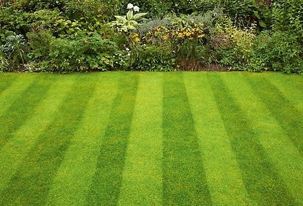 17% of pesticides on the market for non-professional use in Ireland