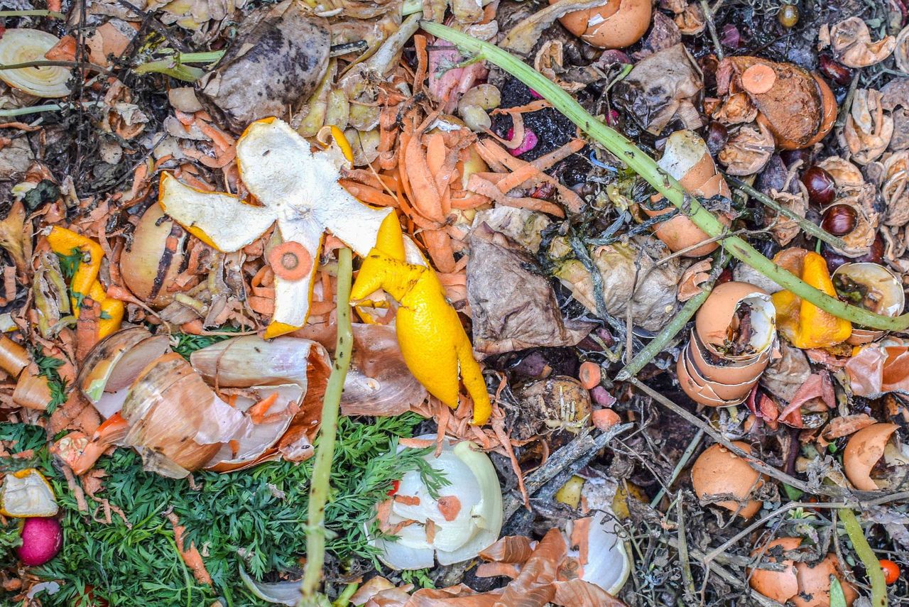 Call for local recycling of food waste into high-quality organic fertilisers