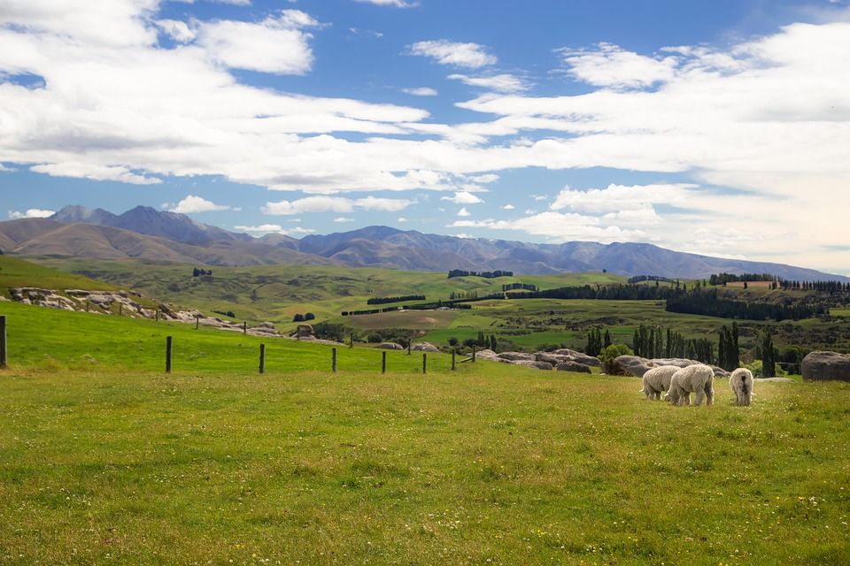 EU free trade agreement with NZ to enter into force in May