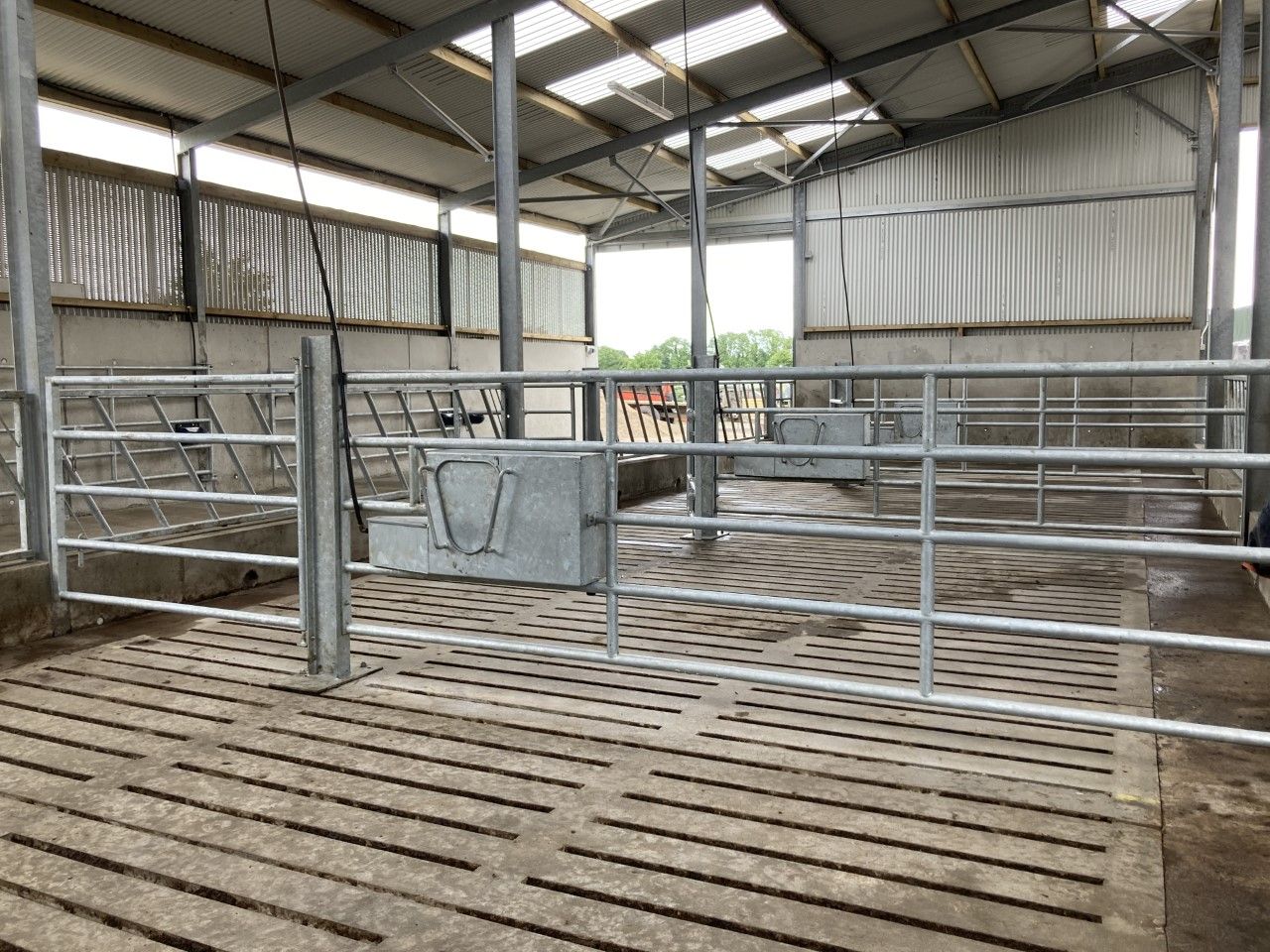 Over 3,000 TAMS tranche 9 approvals issued - DAFM