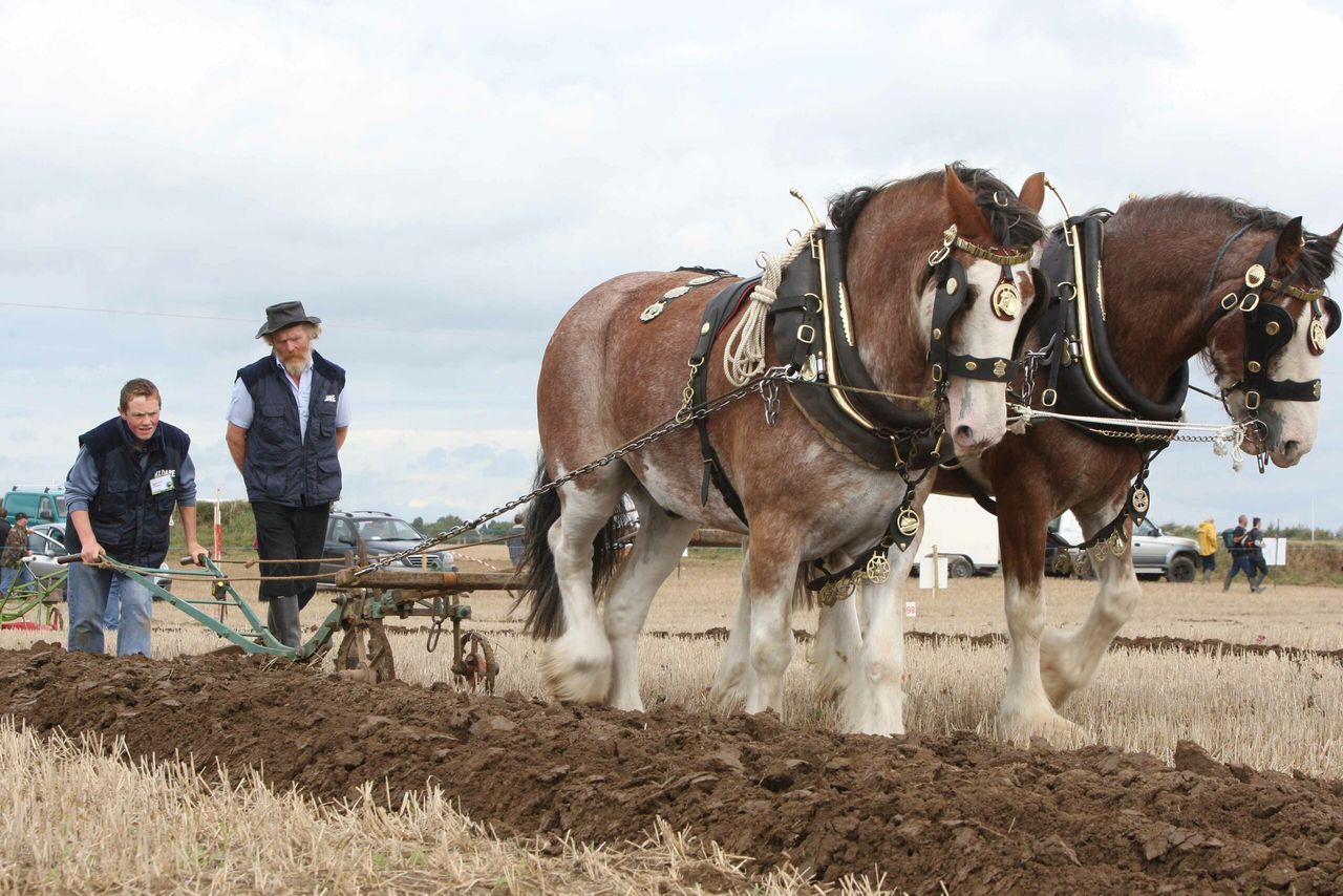 Competitors respond in kind to good ground conditions at Ploughing 2025