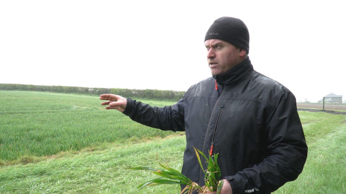 CROPS WATCH: Rust under control; time for T1 on wheat