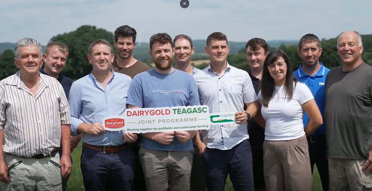 Meet the new Dairygold and Teagasc Joint Programme farmers